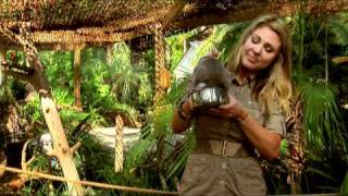 Lifes A Zoo with Mallory Clark webisode five Madagascar Ring Tailed Lemur [upl. by Terrilyn]