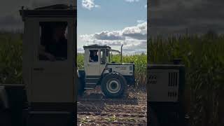 MB Trac 1000 Youngtimer Feldtag Nordhorn 2024  Lipper Agrarvideos [upl. by Odie]