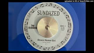 The Bushmen  Down Home Girl Sundazed 1965 Reissued 1998 [upl. by Libyc]