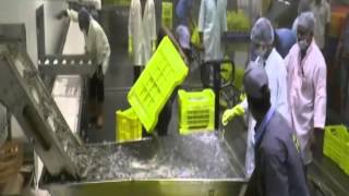 KNC Agro Factory Processing [upl. by Nyrok]