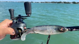 Whopper Plopper in Saltwater Catches a GIANT [upl. by Imoan985]