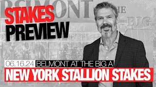 New York Stallion Stakes Previews  June 16 2024 [upl. by Aehc961]