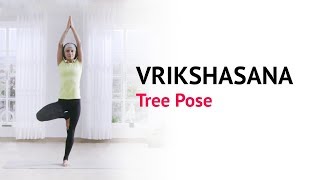 Vrikshasana  Tree Pose  Benefits  Steps  Yogic Fitness  Art Of Living Yoga [upl. by Aslam]