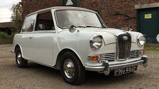 The Wolseley Hornet Is a Posh Classic Mini [upl. by Lucina269]