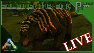 Soloing the Ark  LIVE  Searching for Sir Corgi Wigglebutt [upl. by Edik]