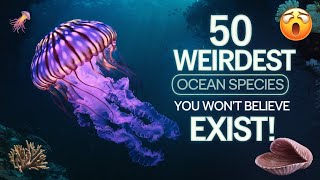 50 Weirdest Ocean Species You Wont Believe Exist [upl. by Inafetse710]