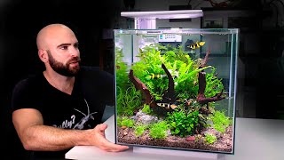 ALL IN ONE CUBE aquarium kit jungle style planted tank w ROCKET Killifish [upl. by Kaete]