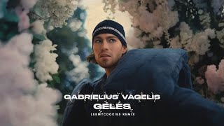 Gabrielius Vagelis  Gėlės LeeMyCookies Club Mix [upl. by Tennos591]