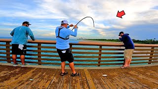 Fishing with Live Bait off the Pier and Caught This Ive Been Missing Out [upl. by Hashim]