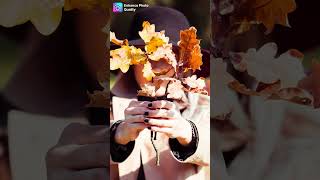 AI Photo Colorizer  Enhance Photo Quality [upl. by Brose928]