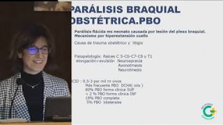 Sesion Pediatria Manejo de Plagiocefalias Tortícolis y Parálisis Braquiales Obstétricas 2 de 2 [upl. by Fai]