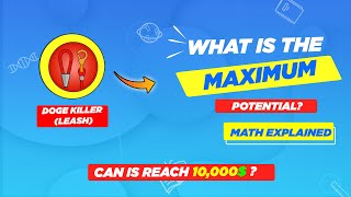 🔥What is The Maximum Potential Of Leash   Can It Ever Reach 10000✅ [upl. by Niboc]