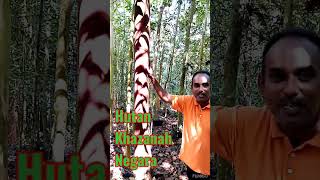 Save SEEDS BANK BEHRANG ULU FOREST PERAK IMMEDIATELY [upl. by Laurent]