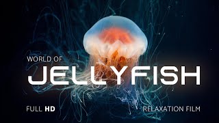 Jellyfish World  Relaxing video HD 1080p  Nature Video relaxing meditationmusic yogamusic [upl. by Krm819]