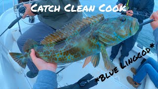 Blue Lingcod Catch Clean Cook Bottom Fishing Oregon Coast [upl. by Anayk]