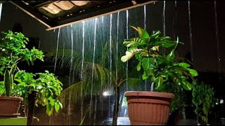 RAIN SOUNDS FOR SLEEPING 100 INSTANTLY FALL ASLEEP WITH RAIND AND THUNDER SOUND AT NIGHT [upl. by Artimas]