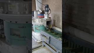 115th grassstraw pellet production line biomass pelletpress grass pelletizing [upl. by Mattland]