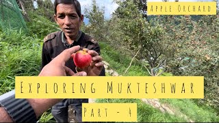 Mukteshwar in Monsoon  KMVN  Snow View Apple Orchard  Mukteshwar  uttarakhand  Satbunga solo [upl. by Jumbala856]