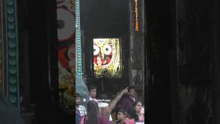 Shree Jagannath Darshan through Lens revealingtheunseen jagannathtemple shreejagannathdarshan [upl. by Morville715]