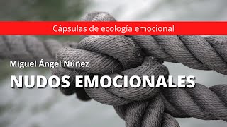 Nudos emocionales  Dr Miguel Ángel Núñez [upl. by Koressa]