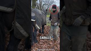 El Cuidado de Caballos que Salvan Vidas 🐴✨❤️ [upl. by Peadar]