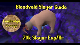 OSRS 2022 Bloodveld Slayer Guide  70k Slayer ExpHr [upl. by Massab]