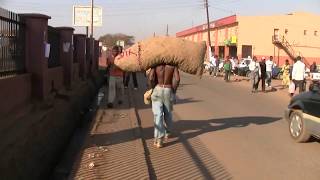 In the street of Lilongwe Malawi 🇲🇼 [upl. by Yelnet]