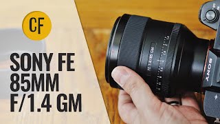 Sony FE 85mm f14 GM lens review with samples Fullframe amp APSC [upl. by Lerej459]