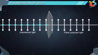 16  Class 12  Physics  Wave Optics  Polarisation [upl. by Keeton]