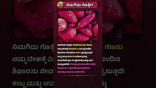 ಬೇಯಿಸಿದ ಗೆಣಸಿನ ಈ ಪ್ರಯೋಜನ ನಿಮಗೆ ತಿಳಿದಿತ್ತೇ🧠📚 gkinkannada kannadaquiz kannadafacts [upl. by Tegdirb931]