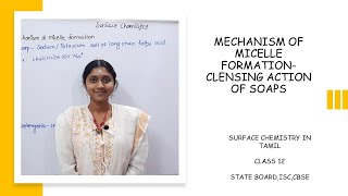 MECHANISM OF MICELLES FORMATION CLEANSING ACTION OF SOAPS IN TAMIL SURFACE CHEMISTRY CLASS 12 [upl. by Weir322]