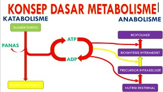 KONSEP DASAR METABOLISME [upl. by Maureen]