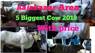 BiggestcowRajabazar Area 5 Biggest Cow 2018 with price Hamarakolkata [upl. by Ahsinan]