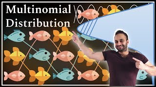 The Multinomial Distribution  Data Science Basics [upl. by Graham]