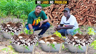 How He Makes GHS100000840417 in 6 Months from His 10 Acres Cassava Farm in Ghana cassava [upl. by Teece898]