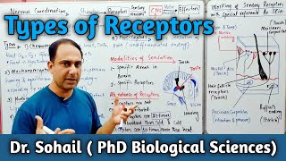 Types of Receptors  Skin as a Receptor Organ  12th Biology  MDCAT Biology  NEET Biology [upl. by Nevarc]