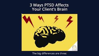 Bessel van der Kolk MD on 3 Ways PTSD Affects Your Clients Brain [upl. by Blythe244]