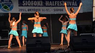 Harmony Dance 2  2014 Siófoki Halfesztivál full HD [upl. by Marilin]