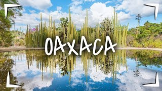 OAXACA ► QUE HACER VISITAR y COMER en 2  3 días 🔴 TOUR GASTRONÓMICO MUY COMPLETO 🐖 [upl. by Divan]