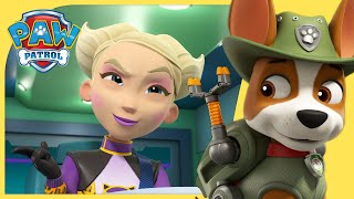 The Pups amp Tracker Save the Jungle and MORE  PAW Patrol  Cartoons for Kids [upl. by Cirtap]