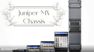 Juniper router MX chassis [upl. by Euseibbob]