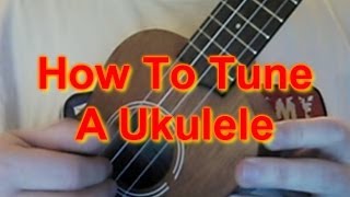 How to Tune A Ukulele [upl. by Aielam]