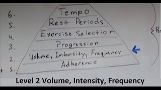 Muscle and Strength Training Pyramid Level 2 Volume Intensity Frequency [upl. by Naihr]