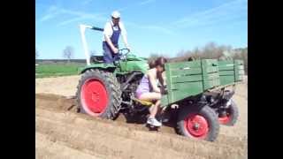 Kartoffel stecken 2012 mit Fendt GT 225 halbautomatisch [upl. by Ennairrac475]