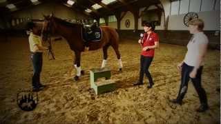 Loesdau Lessons Basics mit Kati Die Reitbahnregeln [upl. by Eniledam]