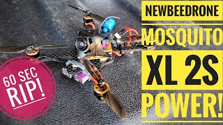 Newbeedrone Mosquito XL maiden  60 sec rip [upl. by Andriana]