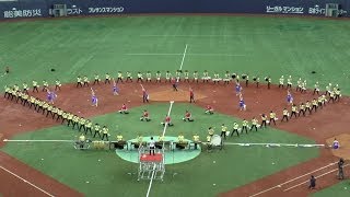 第54回3000人の吹奏楽 武庫川女子大学附属中学校・高等学校 [upl. by Puiia]