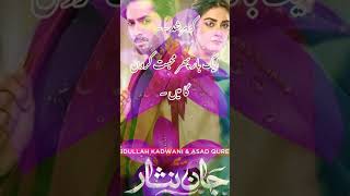 Jaanisaar drama season 2 Danish taimoor hiba bukhari [upl. by Eelrefinnej738]