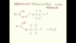 Esters  Essential Organic Chemistry [upl. by Arrej]