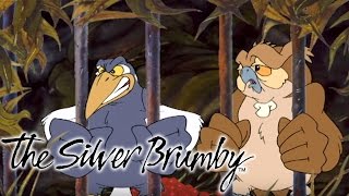 The Silver Brumby  In it Together HD  Full Episode [upl. by Amethyst]